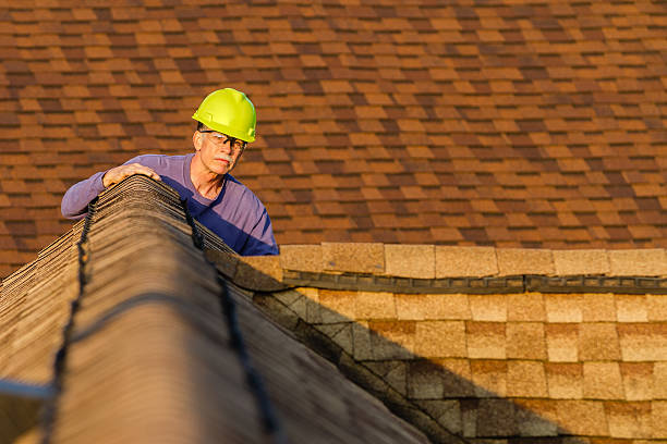 Best Storm Damage Roof Repair  in Lauderhill, FL